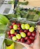 hop-dung-nho-28.jpg