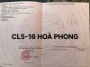 z6428386776723_921a9bdd2c6f6353da24b22c44b1fe30.jpg