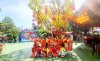 diễn,show.jpg
