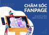 cham-soc-page-la-gi.png