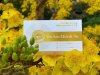 card yen sao khanh an.jpg