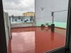 PNT309999.jpg