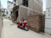 z6503821966532_90e2050b23816b9cb1fec65efb62023a.jpg