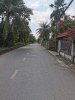 thanh xuan 52 tai 3.jpg
