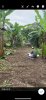 d50636bc661ed5408c0f.jpg