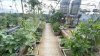 49c8cb5e52960e5084b9730a0ef136a6.md.jpg