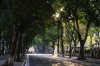 pho-phan-dinh-phung-1.jpg
