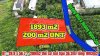 303b5fc1fff14daf14e0.jpg