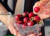 Hop-dung-cherry-09.1.jpg
